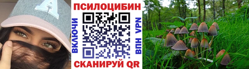 закладки  Билибино  Псилоцибиновые грибы Psilocybine cubensis 
